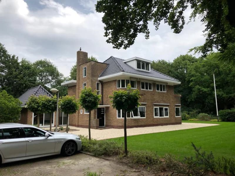 foto beukenallee 2.jpg