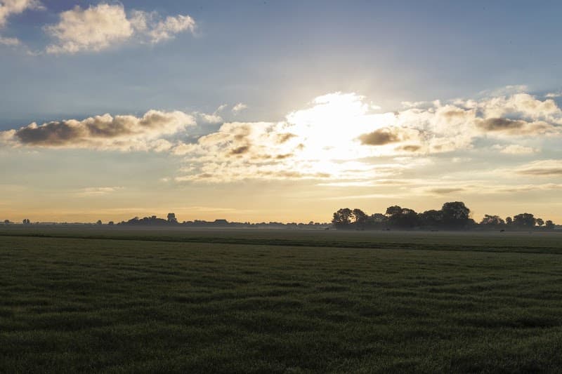 Foto van Willemijn Tichelaar Relatietherapie & persoonlijke begeleiding (Friesland)